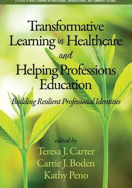 [预订]Transformative Learning in Healthcare and Helping Professions Education 9781641136792