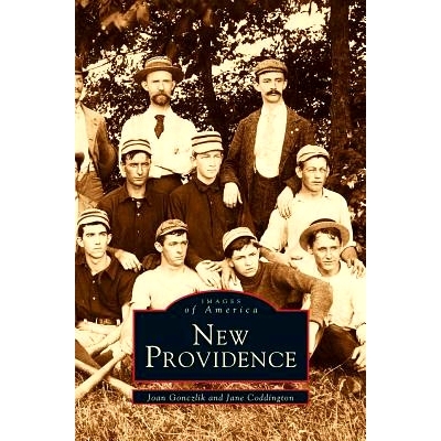 预订 New Providence: 9781531642679