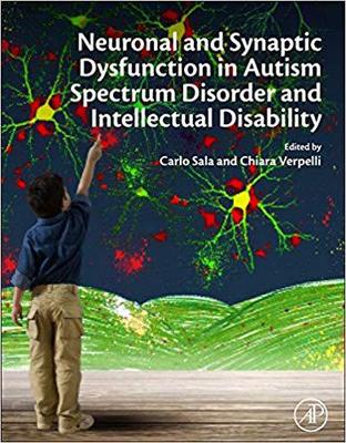 【预售】Neuronal and Synaptic Dysfunction in Autism Spectrum Disorder and Intellectual Disability