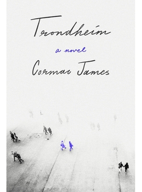 预订 Trondheim 特隆赫姆: 9781954276239