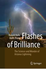 【预订】Flashes of Brilliance 9783031198786