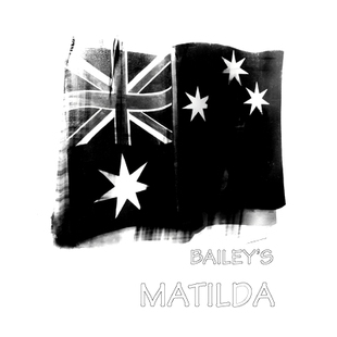 Bailey’s Bailey Matilda 大卫·贝利：贝利 9783958297494 预订 行囊 David