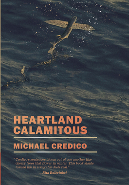 【预订】Heartland Calamitous 9781938769535