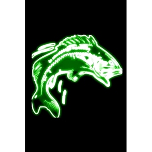 packed prompted anglers. for record invaluable full Fishing has This Log book 120 预订 pages tool Book