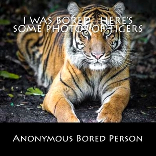 Bored. Here’s Tigers 9781533665492 was Photos 预订 Some