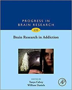 Research Brain Addiction 预售