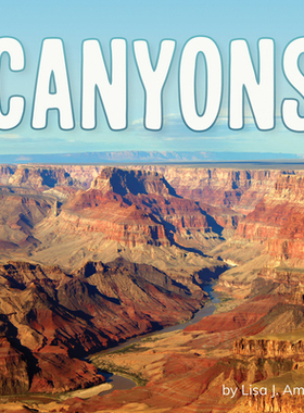 【预订】Canyons