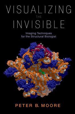 【预订】Visualizing the Invisible