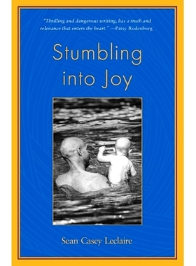 预订 Stumbling into Joy: 9780972485920