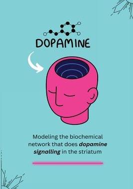[预订]Modeling the biochemical network that does dopamine signalling in the striatum 9781805247746