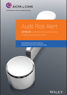 【预订】Audit Risk Alert - General Accounting And Auditing Developments 2019/2020