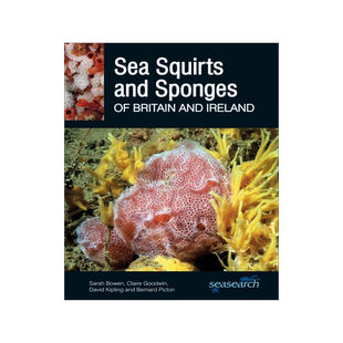 【预订】Sea Squirts and Sea Sponges of Britain and Ireland