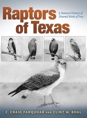 预订 Raptors of Texas: A Natural History of Diurnal Birds of Prey 德克萨斯猛禽：白天活动的猛禽的自然史: 9781623499204