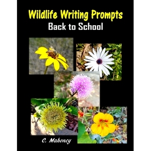 预订 Wildlife Writing Prompts (Back to School): 9781548929190