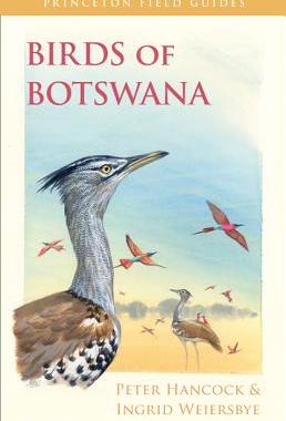 【预订】Birds of Botswana