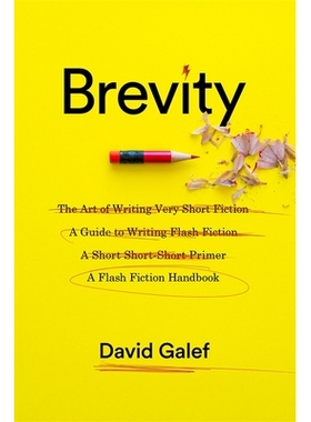 预订 Brevity: A Flash Fiction Handbook 简短：微型小说手册: 9780231179690