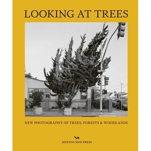 预订 Looking at Trees: New Photography of Trees, Forests and Woodlands 观树: 9781914314407