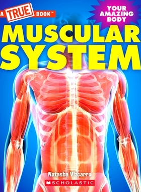 预订 Muscular System (a True Book: Your Amazing Body): 9781339020990
