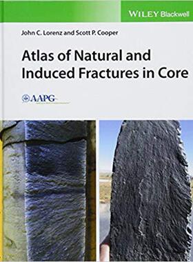 【预售】Atlas Of Natural And Induced Fractur...
