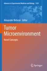 【预订】Tumor Microenvironment 9783030731212