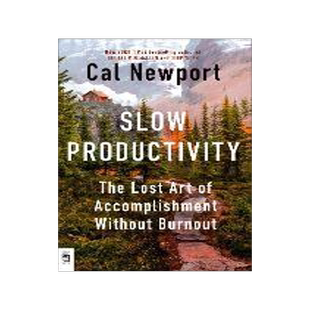 现货 慢效率 Slow Productivity 卡尔·纽坡特 Cal Newport 英文原版 如何在大学里脱颖而出作者 生产力提高