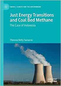 【预订】Just Energy Transitions and Coal Bed Methane: The Case of Indonesia 9783030854898