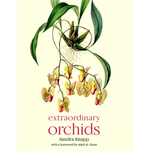兰花 预订 非凡 Orchids 9780226779676 Extraordinary