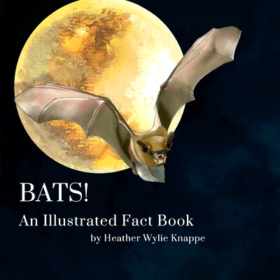 预订 Bats! An Illustrated Fact Book: 9781312782099