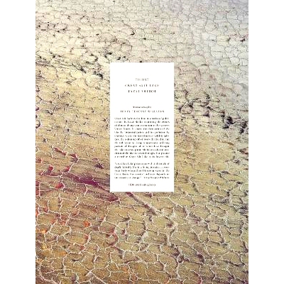 预订 Fazal Sheikh: Great Salt lake 法扎尔·谢赫:渴——大盐湖: 9798218337209