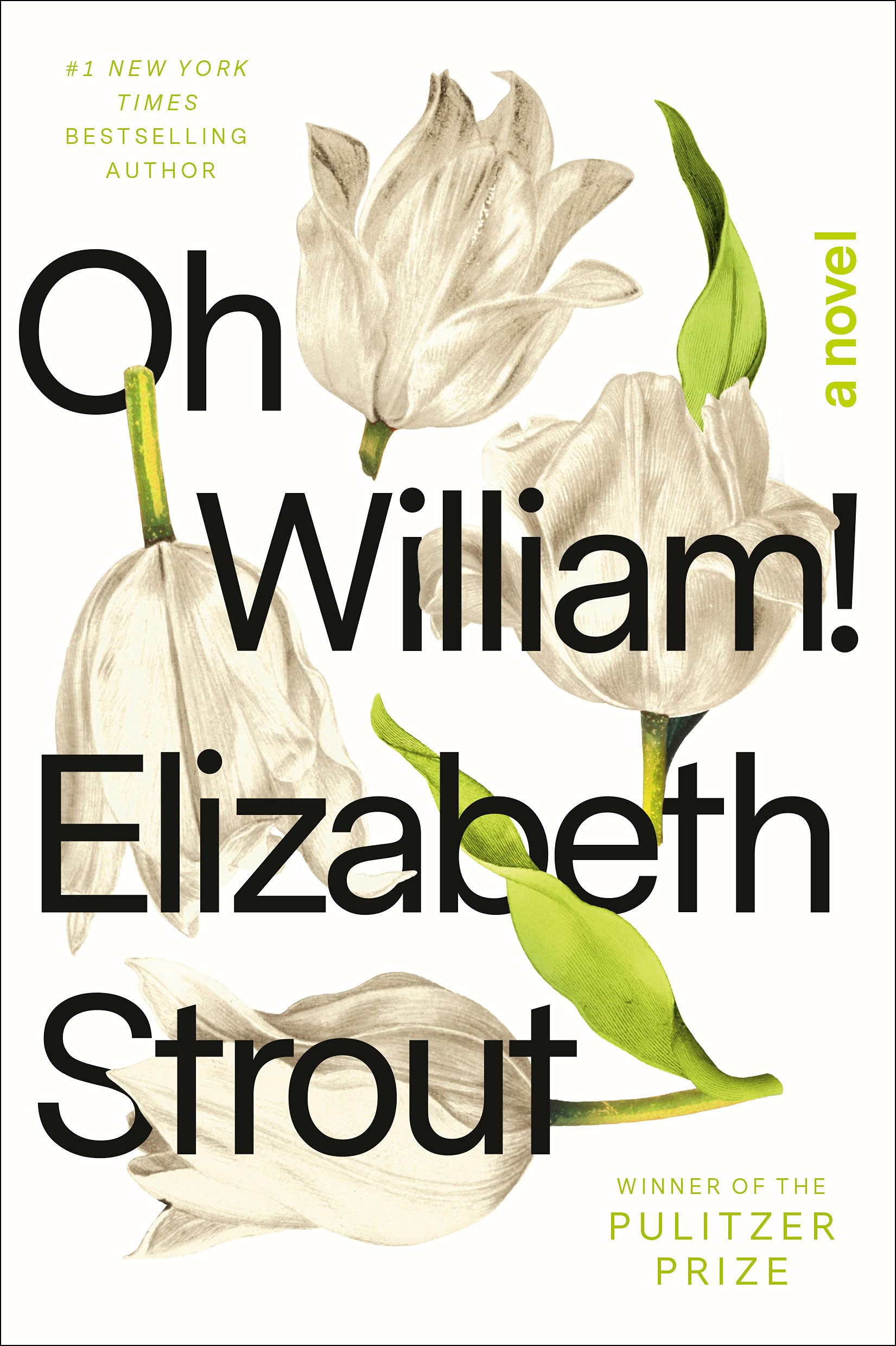 哦 威廉！普利策奖得主 Elizabeth Strout新作 Olive Kitteridge作者 微不足道的生活 英文原版 Oh William!