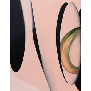 2013–2019 预订 Painting Vance 9781941366257 Lesley