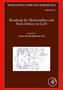 [预订]Roadmap for Skutterudites and Point Defects in GaN