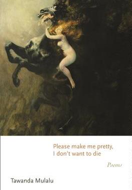 [预订]Please make me pretty, I don’t want to die 9780691239026