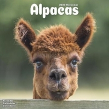 【预订】Alpacas 2023 Wall Calendar 9781839417894