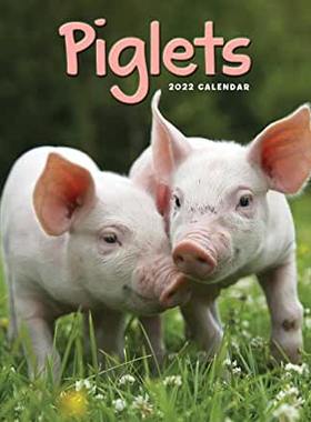 【预订】Piglets Mini Square Wall Calendar 2022 9781529816556