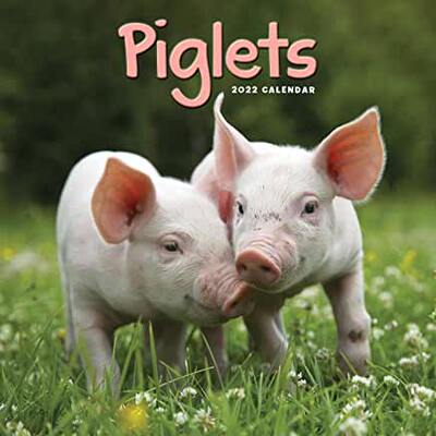 【预订】Piglets Mini Square Wall Calendar 2022 9781529816556