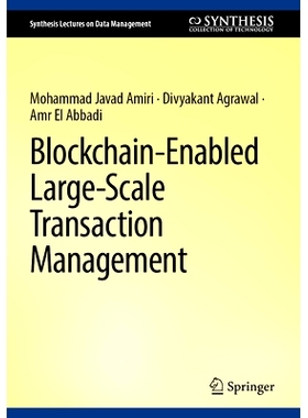 预订 Blockchain-Enabled Large-Scale Transaction Management 支持区块链的大规模交易管理: 9783031910579