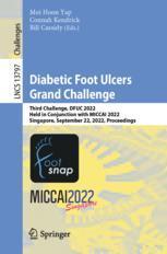[预订]Diabetic Foot Ulcers Grand Challenge