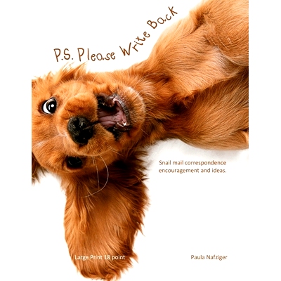 预订 P.S. Please Write Back: Snail mail correspondence encouragement and ideas.: 9781639420056