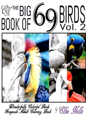 预订 The Big Book of 69 Birds: Wonderfully Colorful Birds: 9781540480255