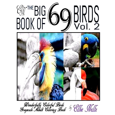 预订 The Big Book of 69 Birds: Wonderfully Colorful Birds: 9781540480255