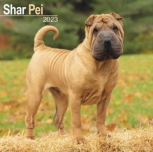 【预订】Shar Pei 2023 Wall Calendar 9781839417542