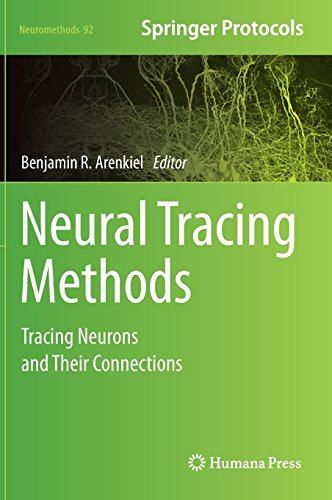 国外库房发货,通常付款后5-8周到货!