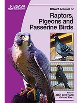 【预订】Bsava Manual Of Raptors, Pigeons And Passerine Birds 9781905319046