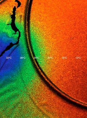 预订 Cooper Jacoby: How Do I Survive? 库珀·雅各比：我如何生存？: 9782492650109