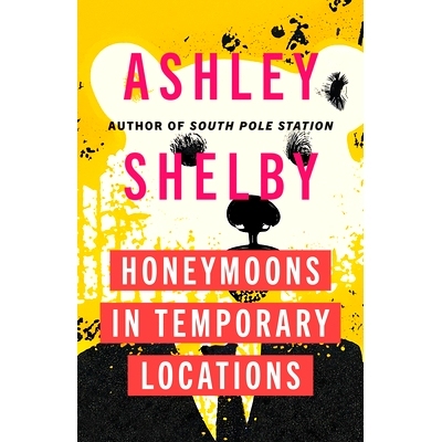 预订 Honeymoons in Temporary Locations 在临时地点度蜜月: 9781517917074