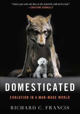 [预订]Domesticated: Evolution in a Man-Made World 9780393353037
