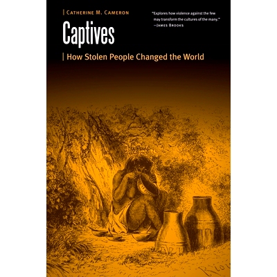 预订 Captives: How Stolen People Changed the World 俘虏：被盗者如何改变世界: 9781496222206