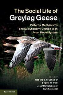 Social The Life Geese Greylag 预订