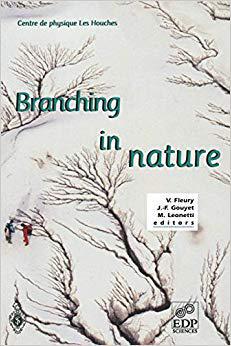 【预订】Branching in Nature 9783540418887
